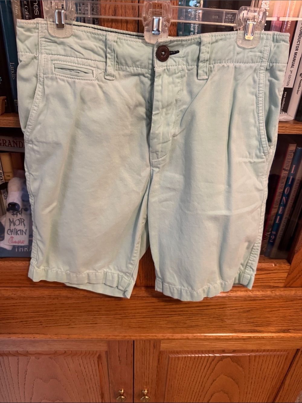 American Eagle Outfitters Light Mint Flat Front Chino Shorts